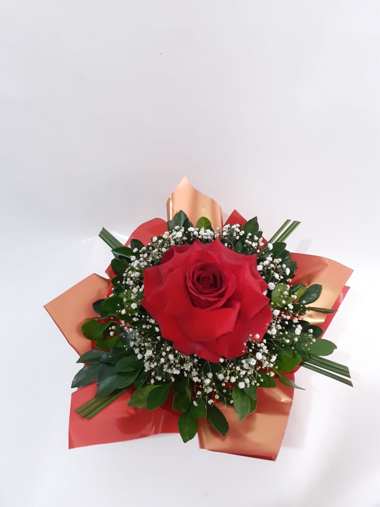Rosa Vermelha Colombiana Dobrada – Flores Nobres